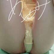 ヒメ日記 2025/04/22 22:04 投稿 音瀬　綾美 プルプル人妻専門店