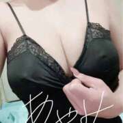 ヒメ日記 2025/07/02 08:41 投稿 音瀬　綾美 プルプル人妻専門店