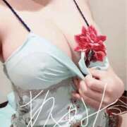 ヒメ日記 2025/09/10 08:37 投稿 音瀬　綾美 プルプル人妻専門店