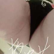 ヒメ日記 2025/09/27 21:08 投稿 音瀬　綾美 プルプル人妻専門店