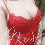 ヒメ日記 2026/03/04 09:02 投稿 音瀬　綾美 プルプル人妻専門店