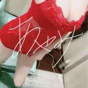 ヒメ日記 2026/03/11 08:52 投稿 音瀬　綾美 プルプル人妻専門店