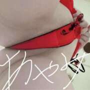 ヒメ日記 2026/07/24 18:58 投稿 音瀬　綾美 プルプル人妻専門店