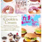 ヒメ日記 2025/03/05 10:27 投稿 及川　明日花 プルプル人妻専門店