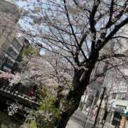 ヒメ日記 2025/04/05 17:08 投稿 及川　明日花 プルプル人妻専門店