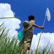 ヒメ日記 2025/08/03 11:00 投稿 及川　明日花 プルプル人妻専門店