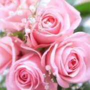 ヒメ日記 2025/11/04 18:35 投稿 及川　明日花 プルプル人妻専門店