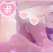 ヒメ日記 2026/02/13 09:45 投稿 雅　ほのか プルプル人妻専門店