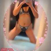 ヒメ日記 2024/12/09 15:56 投稿 西村　雪乃 プルプル人妻専門店