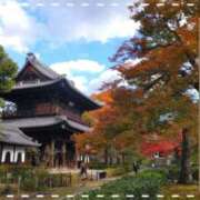 ヒメ日記 2024/12/08 09:17 投稿 遠藤　さら プルプル人妻専門店