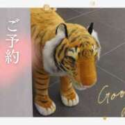 ヒメ日記 2024/12/09 19:58 投稿 遠藤　さら プルプル人妻専門店