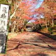 ヒメ日記 2024/12/12 10:07 投稿 遠藤　さら プルプル人妻専門店