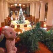 ヒメ日記 2024/12/17 19:08 投稿 遠藤　さら プルプル人妻専門店