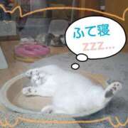 ヒメ日記 2024/12/22 16:20 投稿 遠藤　さら プルプル人妻専門店