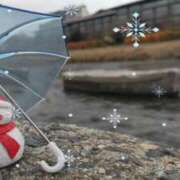 ヒメ日記 2024/12/26 07:42 投稿 遠藤　さら プルプル人妻専門店