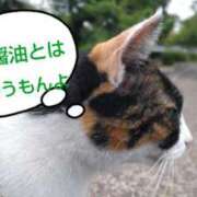 ヒメ日記 2025/01/04 21:22 投稿 遠藤　さら プルプル人妻専門店