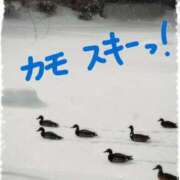 ヒメ日記 2025/01/11 10:24 投稿 遠藤　さら プルプル人妻専門店