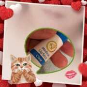 ヒメ日記 2025/01/12 21:01 投稿 遠藤　さら プルプル人妻専門店