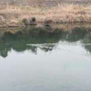 ヒメ日記 2025/01/15 08:21 投稿 遠藤　さら プルプル人妻専門店