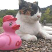 ヒメ日記 2025/02/19 22:03 投稿 遠藤　さら プルプル人妻専門店