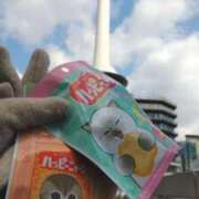 ヒメ日記 2025/02/22 10:35 投稿 遠藤　さら プルプル人妻専門店