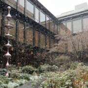 ヒメ日記 2025/02/24 20:33 投稿 遠藤　さら プルプル人妻専門店