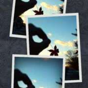 ヒメ日記 2025/02/26 19:08 投稿 遠藤　さら プルプル人妻専門店