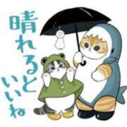 ヒメ日記 2025/03/03 06:54 投稿 遠藤　さら プルプル人妻専門店