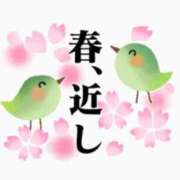 ヒメ日記 2025/03/09 06:06 投稿 遠藤　さら プルプル人妻専門店