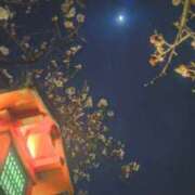 ヒメ日記 2025/03/09 21:37 投稿 遠藤　さら プルプル人妻専門店