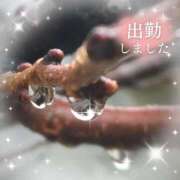 ヒメ日記 2025/03/15 16:44 投稿 遠藤　さら プルプル人妻専門店