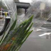 ヒメ日記 2025/03/16 14:37 投稿 遠藤　さら プルプル人妻専門店