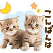 ヒメ日記 2025/03/18 20:44 投稿 遠藤　さら プルプル人妻専門店