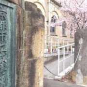 ヒメ日記 2025/03/20 13:49 投稿 遠藤　さら プルプル人妻専門店