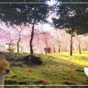 ヒメ日記 2025/03/22 21:05 投稿 遠藤　さら プルプル人妻専門店