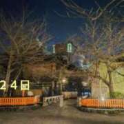 ヒメ日記 2025/03/24 06:34 投稿 遠藤　さら プルプル人妻専門店