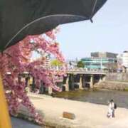 ヒメ日記 2025/03/25 14:36 投稿 遠藤　さら プルプル人妻専門店