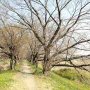 ヒメ日記 2025/03/26 14:27 投稿 遠藤　さら プルプル人妻専門店