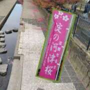 ヒメ日記 2025/03/29 20:25 投稿 遠藤　さら プルプル人妻専門店