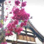 ヒメ日記 2025/03/31 08:22 投稿 遠藤　さら プルプル人妻専門店