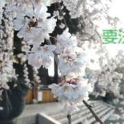 ヒメ日記 2025/03/31 08:55 投稿 遠藤　さら プルプル人妻専門店