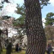 ヒメ日記 2025/03/31 14:40 投稿 遠藤　さら プルプル人妻専門店