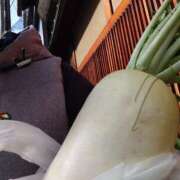 ヒメ日記 2025/03/31 20:17 投稿 遠藤　さら プルプル人妻専門店