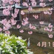 ヒメ日記 2025/04/01 11:20 投稿 遠藤　さら プルプル人妻専門店