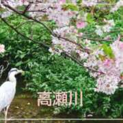 ヒメ日記 2025/04/02 06:49 投稿 遠藤　さら プルプル人妻専門店