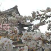 ヒメ日記 2025/04/02 15:09 投稿 遠藤　さら プルプル人妻専門店