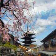 ヒメ日記 2025/04/03 10:16 投稿 遠藤　さら プルプル人妻専門店