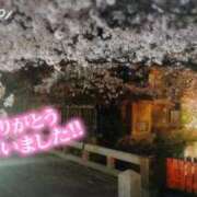 ヒメ日記 2025/04/05 00:14 投稿 遠藤　さら プルプル人妻専門店