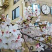 ヒメ日記 2025/04/05 08:07 投稿 遠藤　さら プルプル人妻専門店