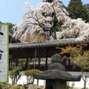 ヒメ日記 2025/04/05 21:29 投稿 遠藤　さら プルプル人妻専門店